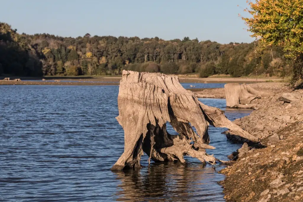 lac du jaunay 2