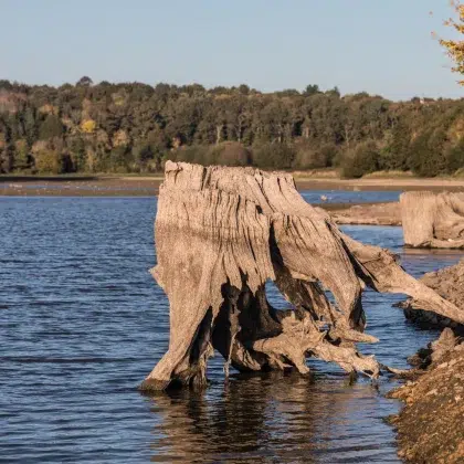 lac du jaunay 2