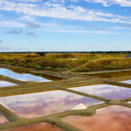 salines sables olonne